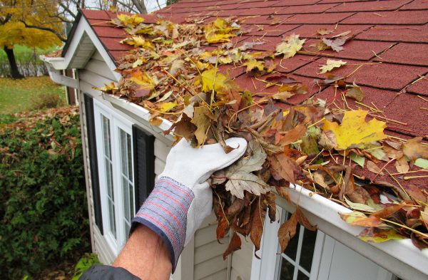 Rain Gutter Cleaning Service in Pleasanton