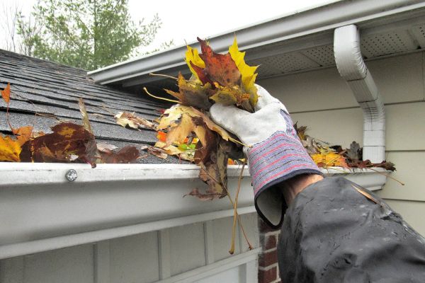 Cost of Gutter Leaf Clearing in Pleasanton