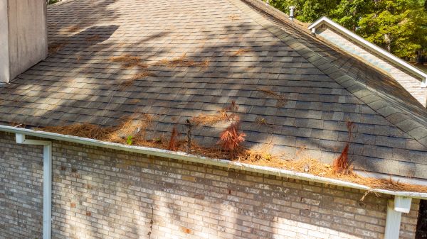 Cost of Gutter Pine Needle Removal in Pleasanton
