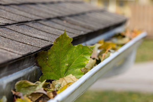 Cost of Gutter Leaves Removal in Pleasanton