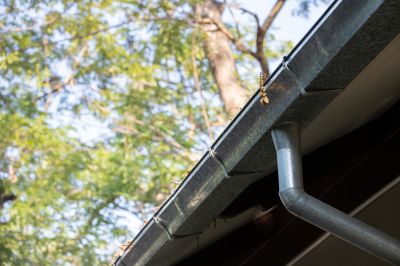 Gutter Maintenance detail