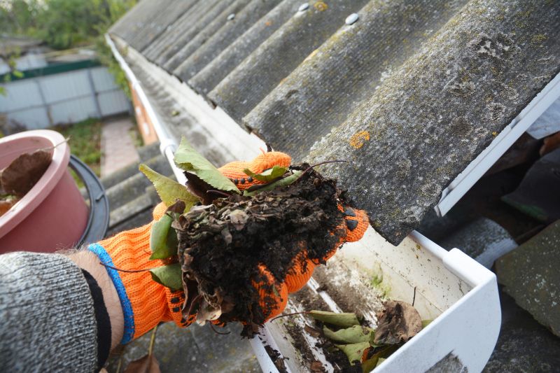 Gutter Leaves Removal