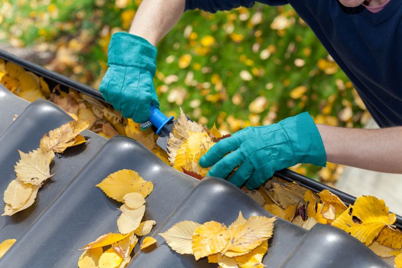 Gutter Leaves Removal