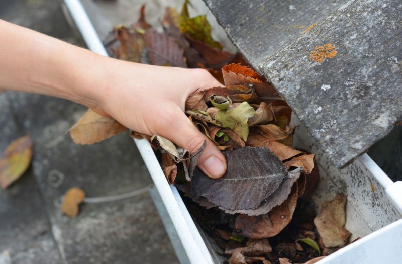Leaf Gutter Cleaning